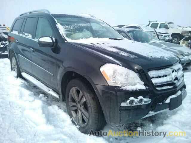 2010 MERCEDES-BENZ GL450 4 MA, 4JGBF7BE8AA606212