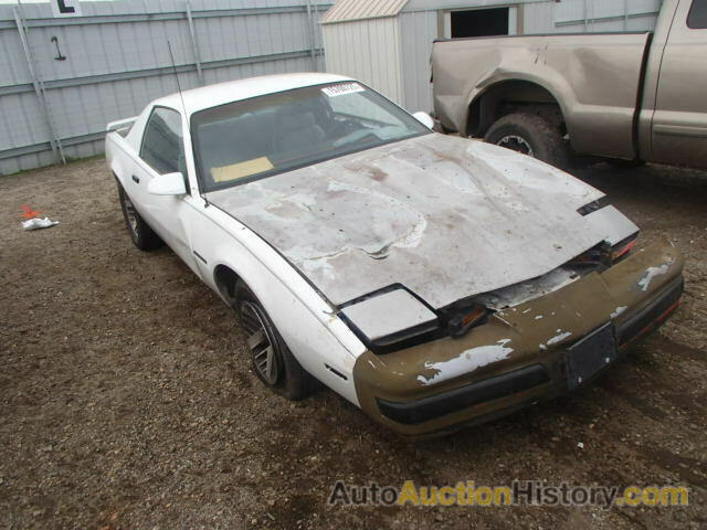 1991 PONTIAC FIREBIRD, 1G2FS23T7ML233811