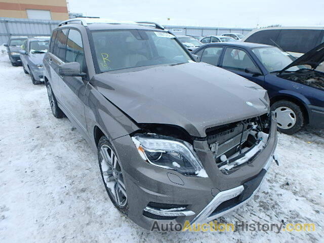 2013 MERCEDES-BENZ GLK250 BLU, WDCGG0EB4DG109489