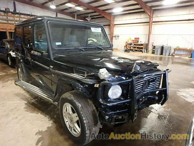 2002 MERCEDES-BENZ G500, WDCYR49E32X134245