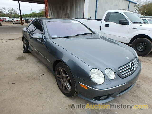 2006 MERCEDES-BENZ CL500, WDBPJ75J36A046946