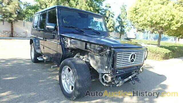 2003 MERCEDES-BENZ G55, WDCYR46E73X135985