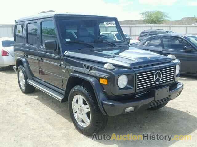 2002 MERCEDES-BENZ G500, WDCYR49E92X131494