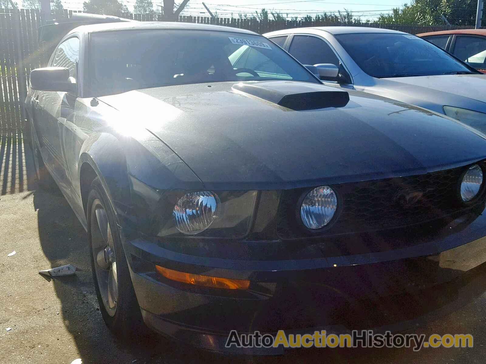2009 FORD MUSTANG GT, 1ZVHT82H595101978