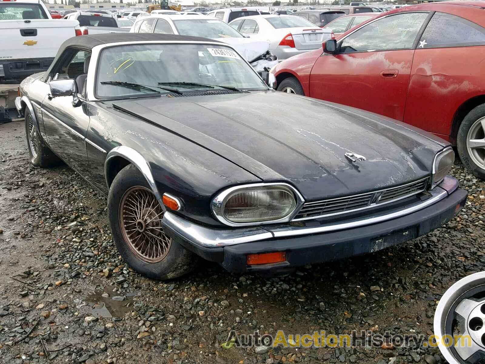 1989 JAGUAR XJS, SAJNV4843KC156915