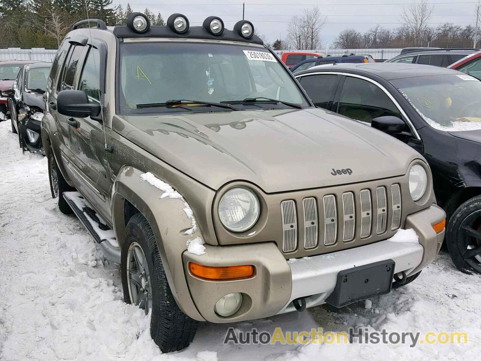 2002 JEEP LIBERTY RENEGADE, 