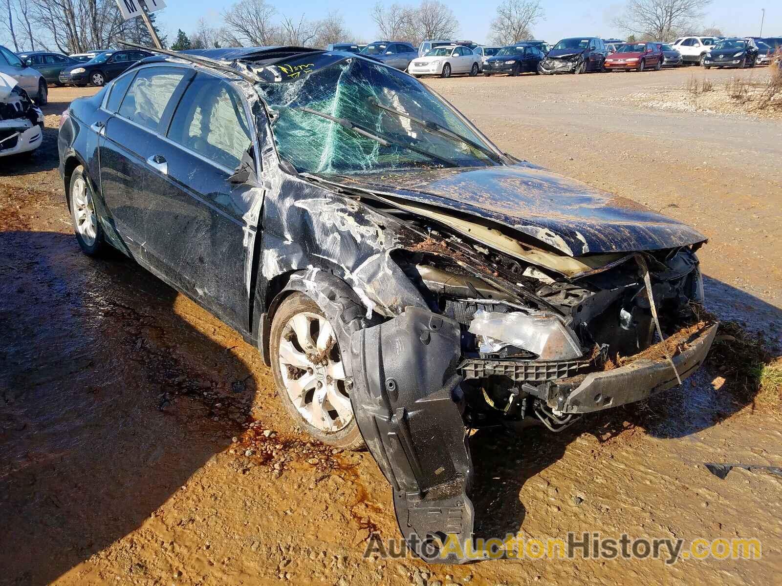 2010 HONDA ACCORD EXL EXL, 1HGCP3F87AA015597