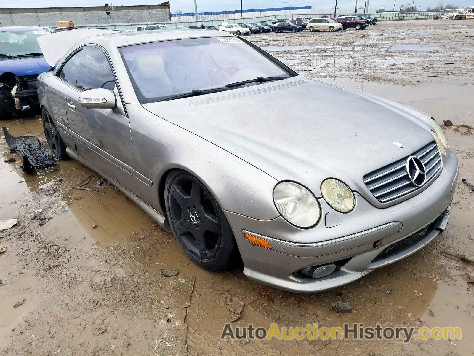 2004 MERCEDES-BENZ CL 500 500, WDBPJ75J84A039892