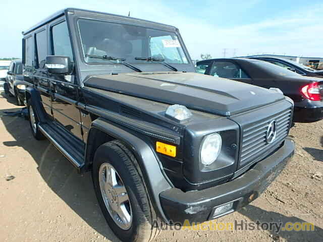 2003 MERCEDES-BENZ G500, WDCYR49E43X137205