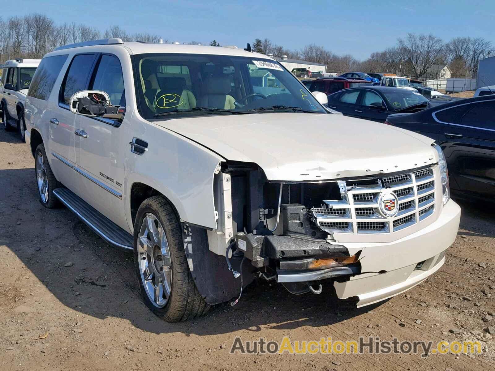 2010 CADILLAC ESCALADE ESV LUXURY, 1GYUKHEF3AR282634