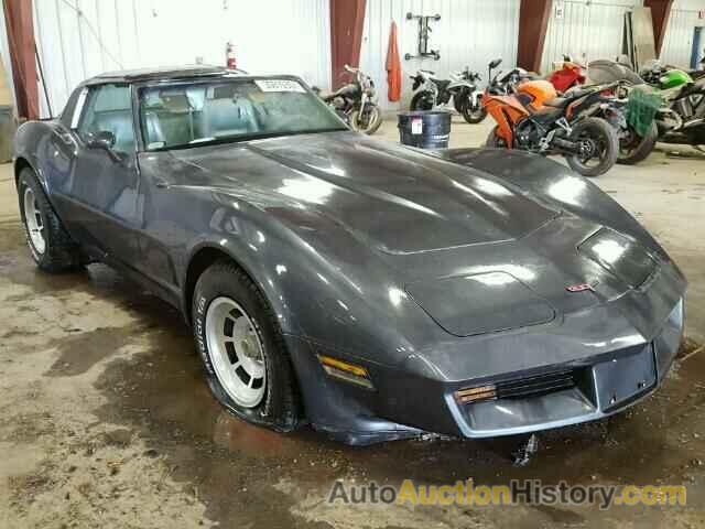 1981 CHEVROLET CORVETTE, 1G1AY8760BS407936