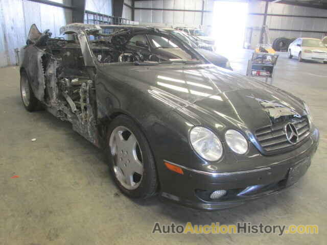 2002 MERCEDES-BENZ CL600, WDBPJ78JX2A018762