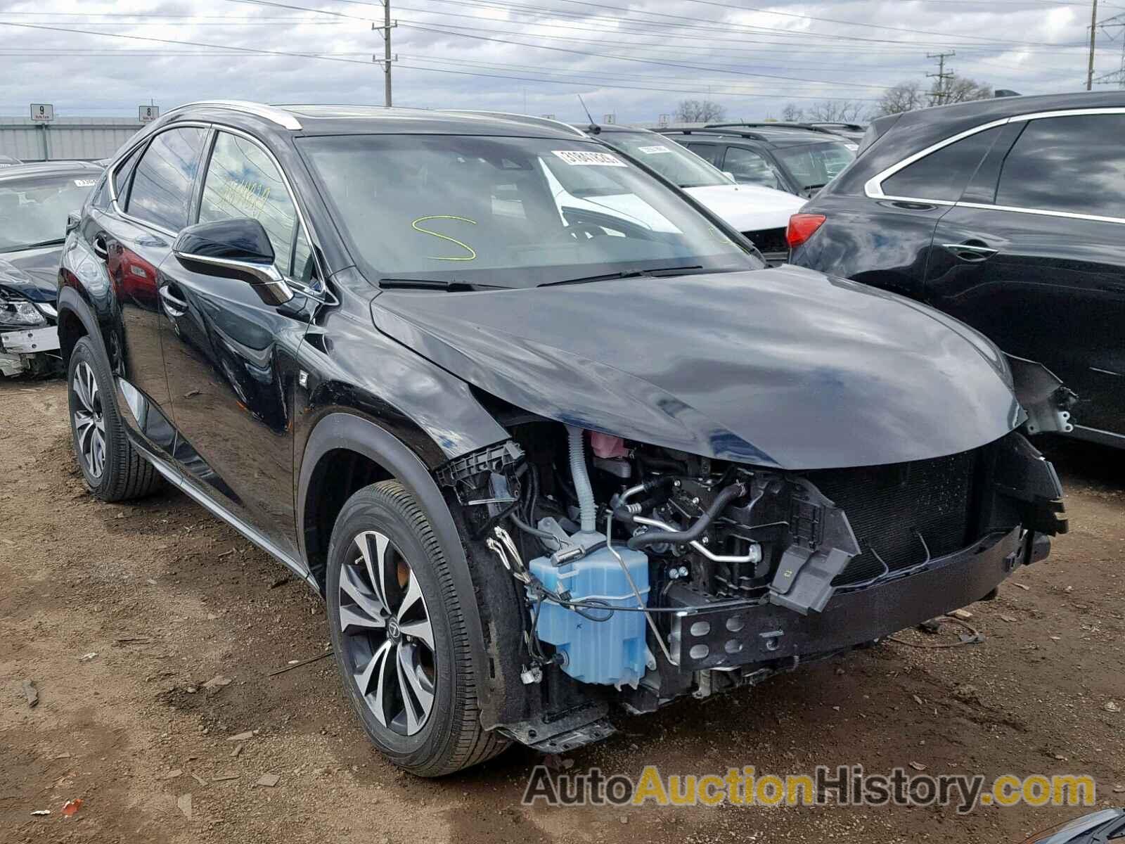 2018 LEXUS NX 300, JTJBARBZ0J2153647