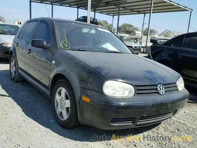 2002 VOLKSWAGEN GOLF GLS, 9BWGK61J624071692