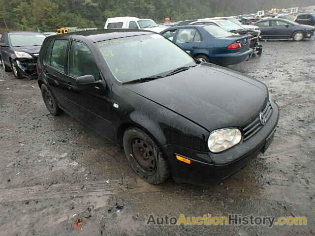 2002 VOLKSWAGEN GOLF GLS, 9BWGK61J824003023