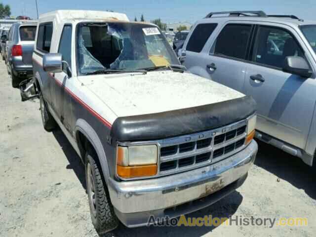 1991 DODGE DAKOTA, 1B7GL26Y4MS303226