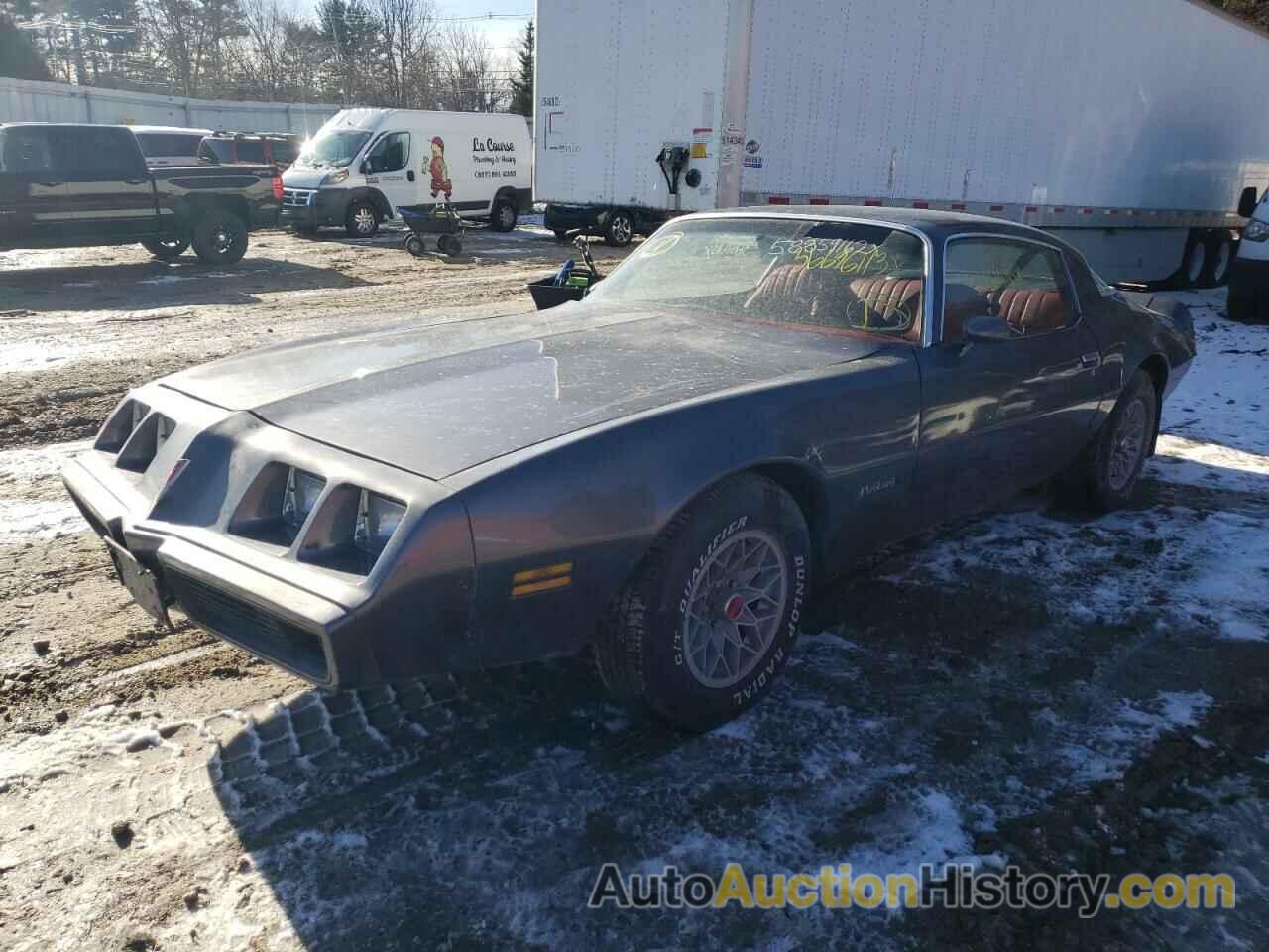 1981 PONTIAC FIREBIRD, 1G2AS87A4BN117926