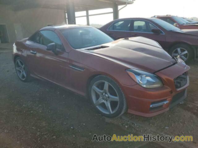 MERCEDES-BENZ SLK-CLASS 250, WDDPK4HA1EF076429