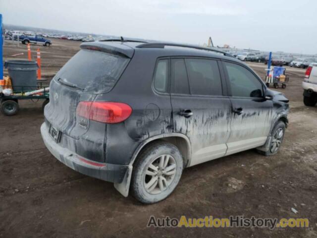 VOLKSWAGEN TIGUAN S, WVGBV7AX5GW568214