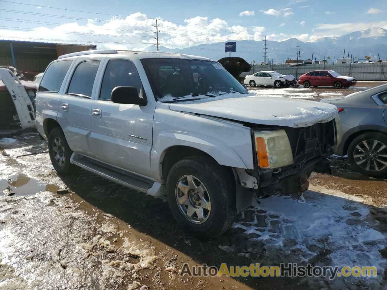 CADILLAC ESCALADE LUXURY, 1GYEK63N92R111973