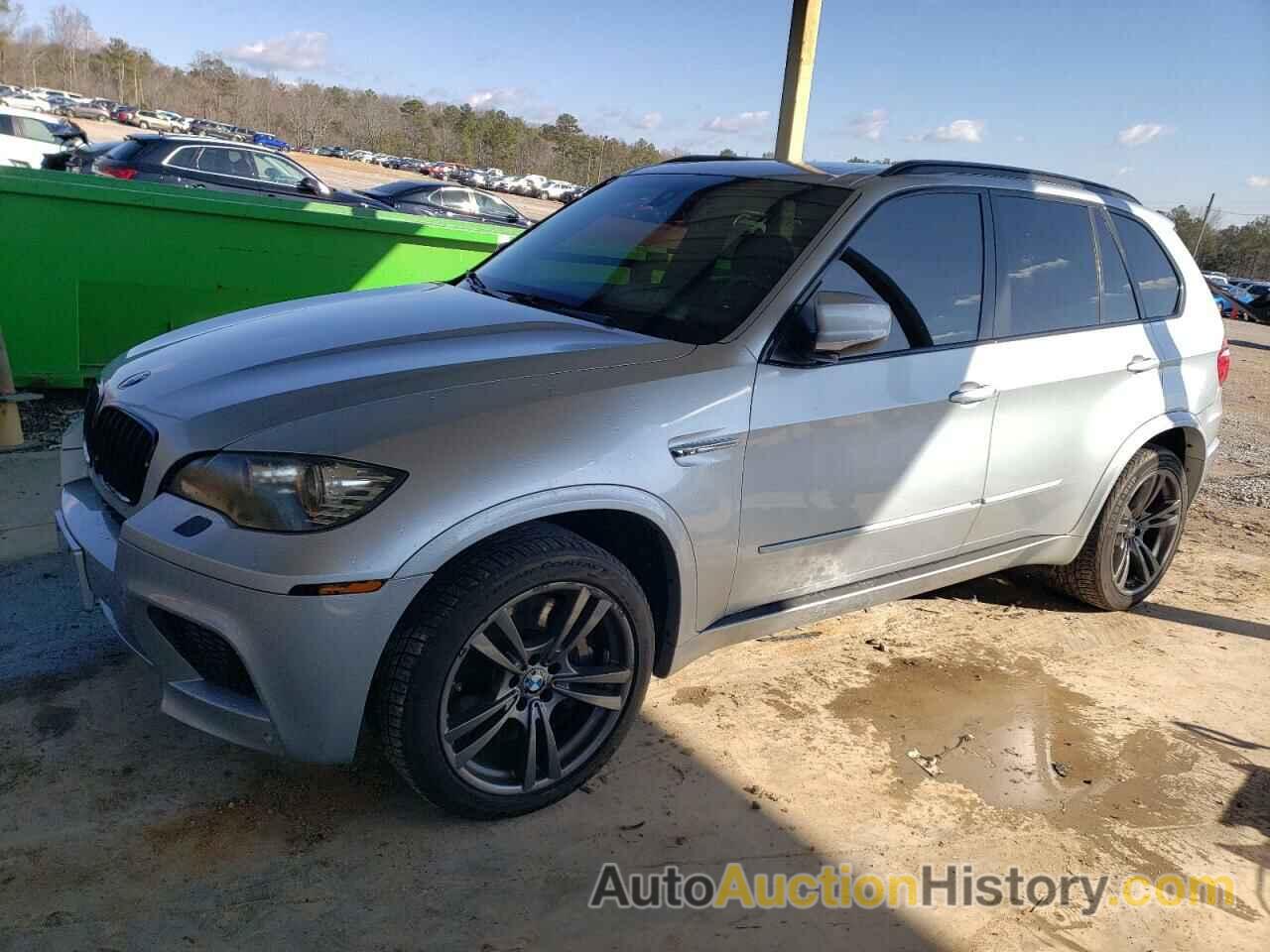 BMW X5 M, 5YMGY0C52ALK25283