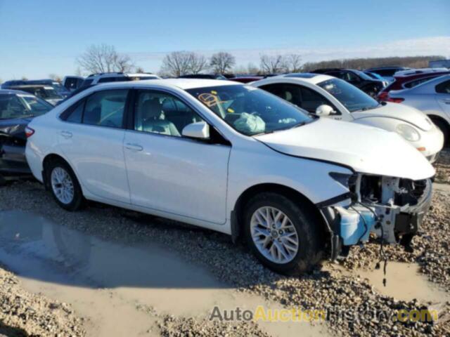 TOYOTA CAMRY LE, 4T4BF1FK3GR579995