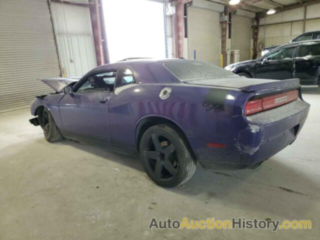 DODGE CHALLENGER R/T, 2C3CDYBT1DH695621