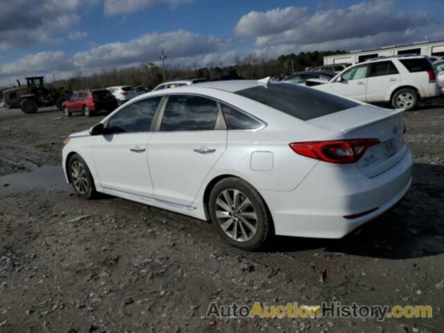 HYUNDAI SONATA SPORT, 5NPE34AF7GH361410