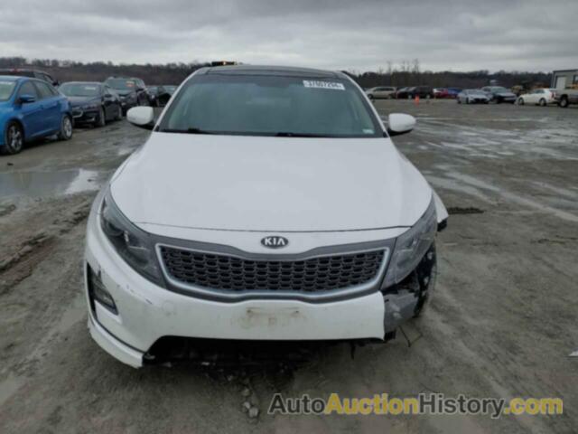 KIA OPTIMA HYBRID, KNAGN4AD5F5084446