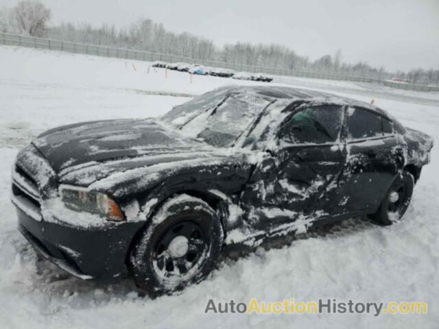 DODGE CHARGER POLICE, 2C3CDXAG5DH696334