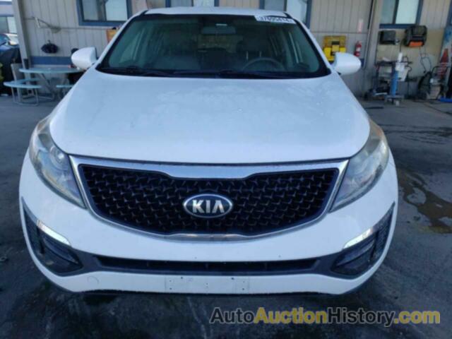 KIA SPORTAGE LX, KNDPB3AC7G7811640