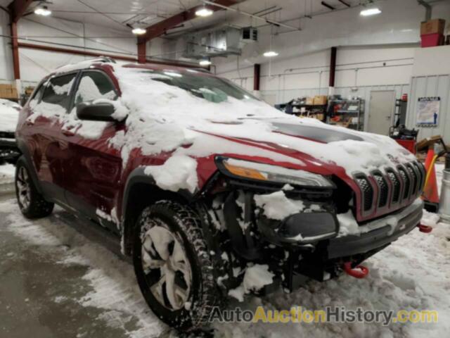 JEEP CHEROKEE TRAILHAWK, 1C4PJMBS7EW132100