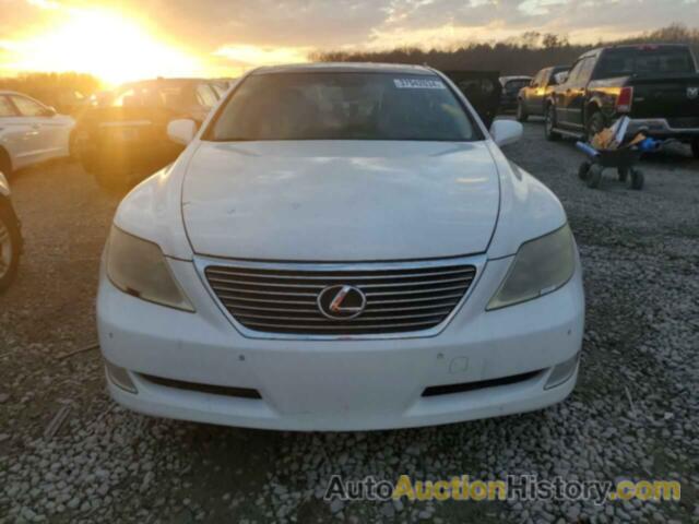 LEXUS LS460 460, JTHBL46F195084797