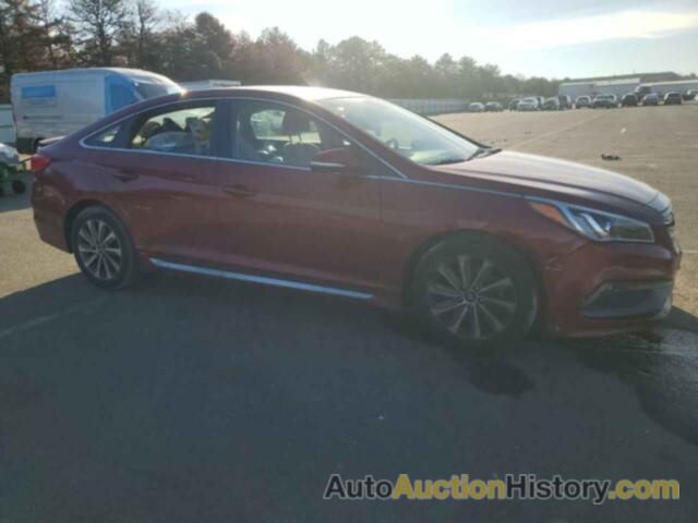 HYUNDAI SONATA SPORT, 5NPE34AF1GH310274