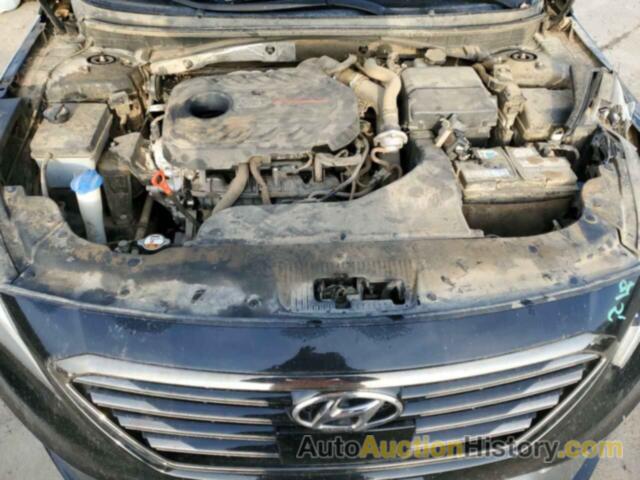 HYUNDAI SONATA SPORT, 5NPE34AB9FH116040