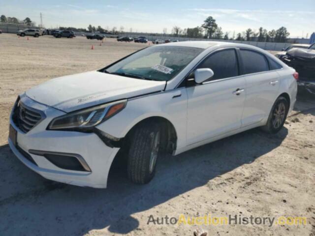 HYUNDAI SONATA SE, 5NPE24AF3HH517124