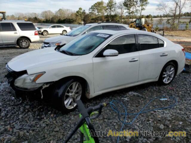 NISSAN MAXIMA S, 1N4AA5AP6BC860812