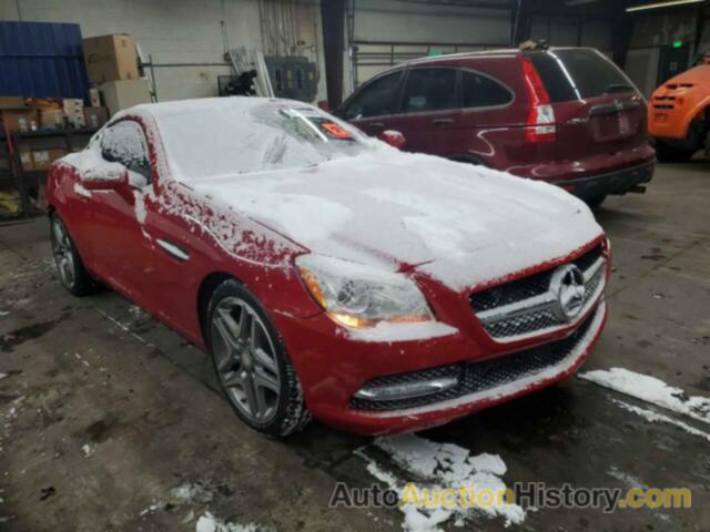 MERCEDES-BENZ SLK-CLASS 250, WDDPK4HA3EF089604