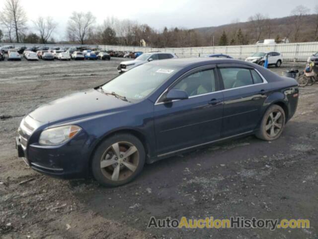 CHEVROLET MALIBU 1LT, 1G1ZC5E18BF281146