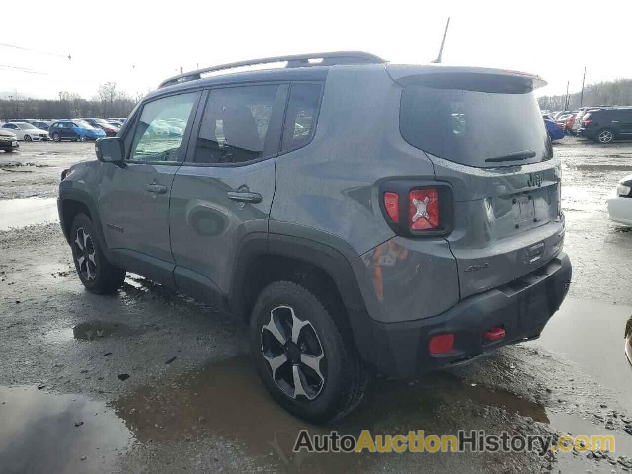 JEEP RENEGADE TRAILHAWK, ZACNJBC1XLPL77319