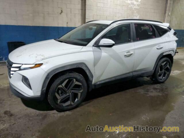 HYUNDAI TUCSON SEL, 5NMJFCAE8PH274748