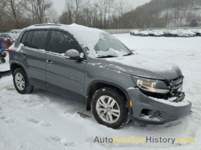 VOLKSWAGEN TIGUAN S, WVGBV7AX3GW558510