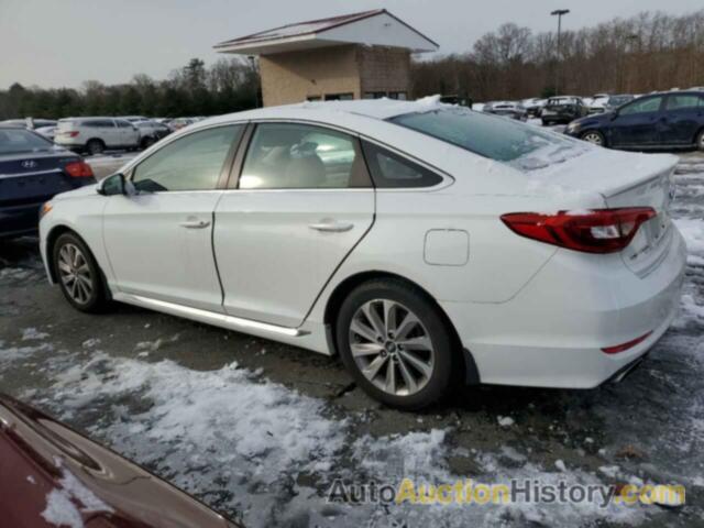 HYUNDAI SONATA SPORT, 5NPE34AF9FH122553