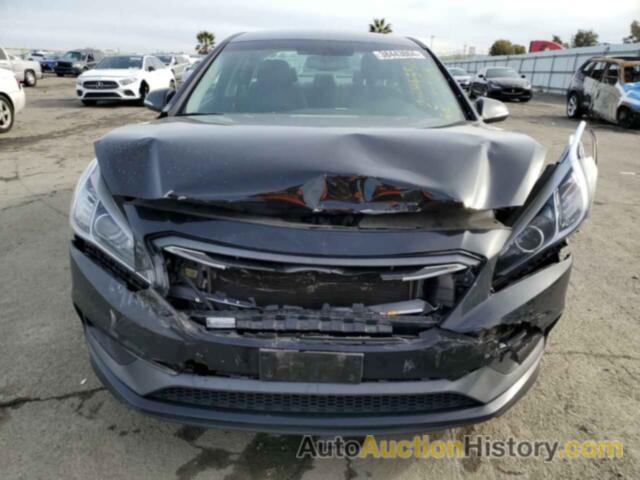 HYUNDAI SONATA SPORT, 5NPE34AF9FH055209