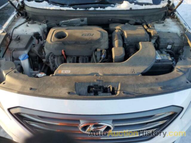 HYUNDAI SONATA SPORT, 5NPE34AF5HH546346