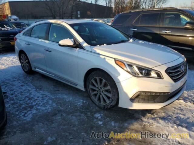 HYUNDAI SONATA SPORT, 5NPE34AF5HH546346