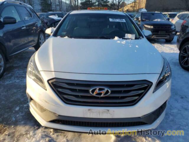 HYUNDAI SONATA SPORT, 5NPE34AF5HH546346