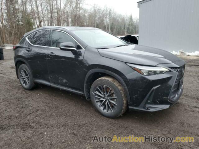 LEXUS NX 250 250, 2T2ADCEZ8PC003547