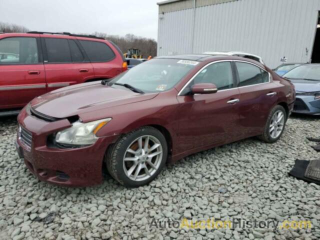 NISSAN MAXIMA S, 1N4AA5AP8BC804399