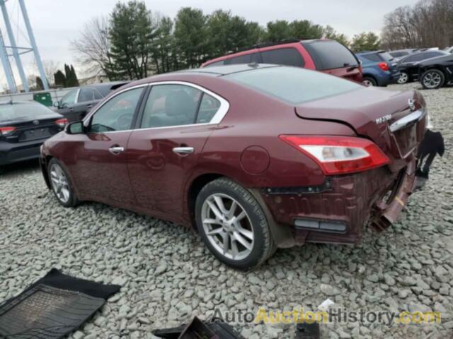 NISSAN MAXIMA S, 1N4AA5AP8BC804399